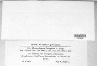 Image Associated With the Occurence